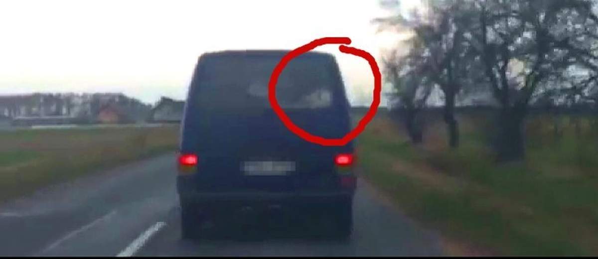 Cielak w busie. Film nadesłany przez czytelnika