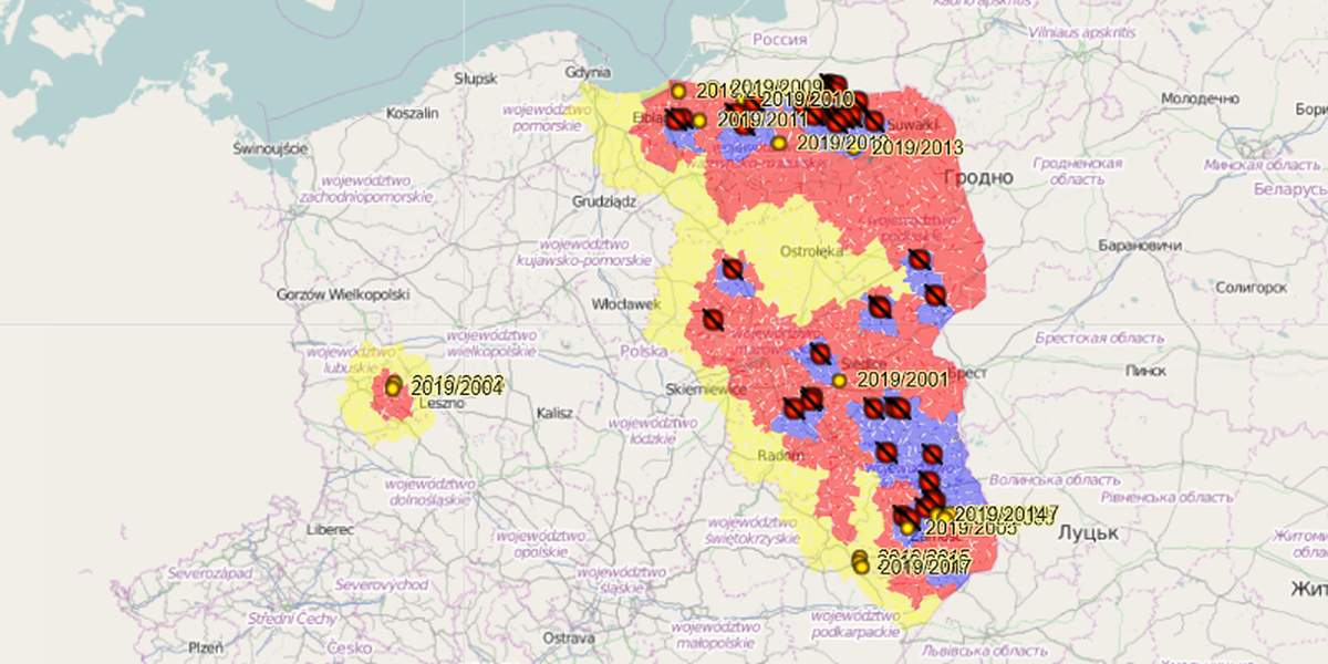 Powiększono strefę ASF w Wielkopolsce