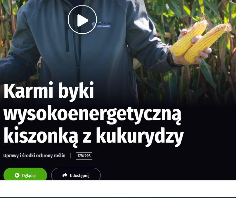 https://videosferaagro.pl/uprawy-i-srodki-ochrony-roslin/karmi-byki-wysokoenergetyczna-kiszonka-z-kukurydzy,wideo