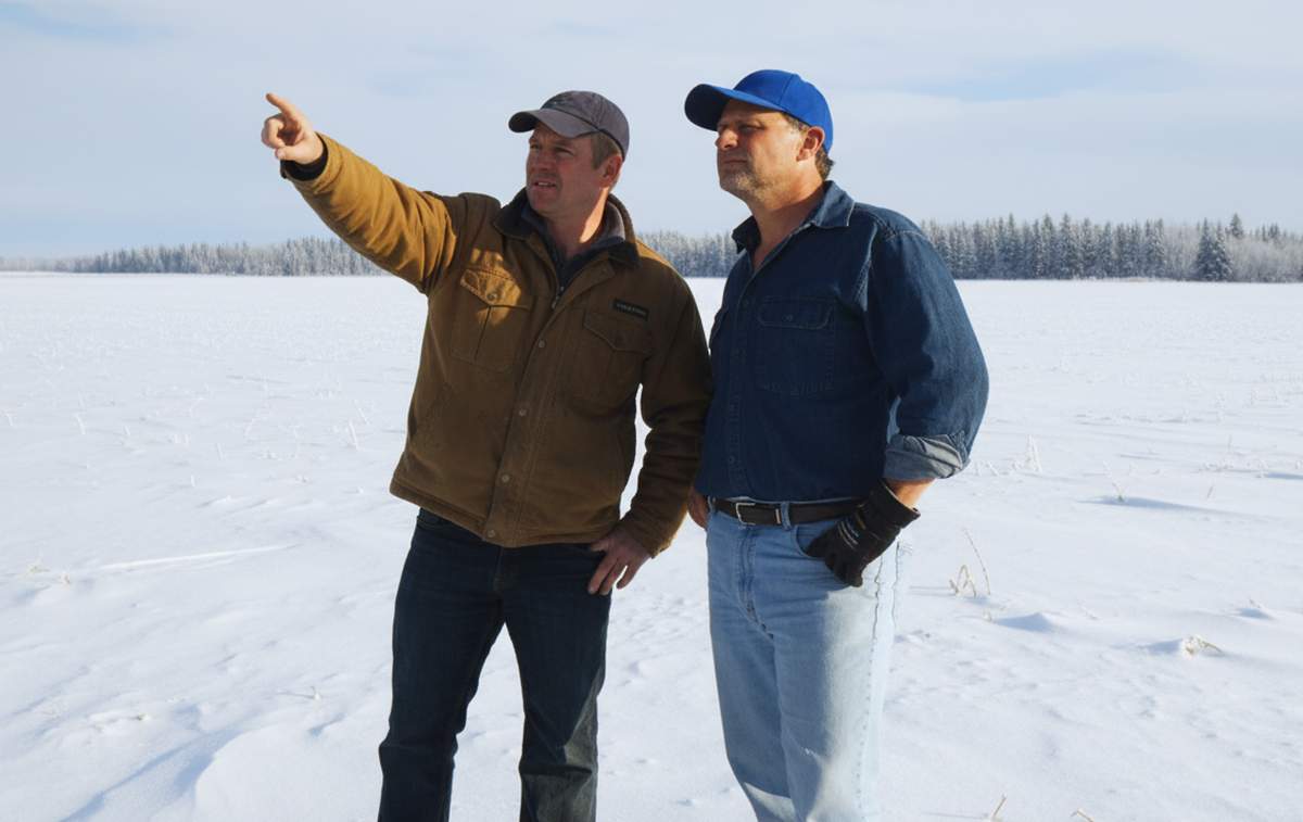 1 grudnia wystartowały dwa istotne badania, prowadzone przez Główny Urząd Statystyczny.