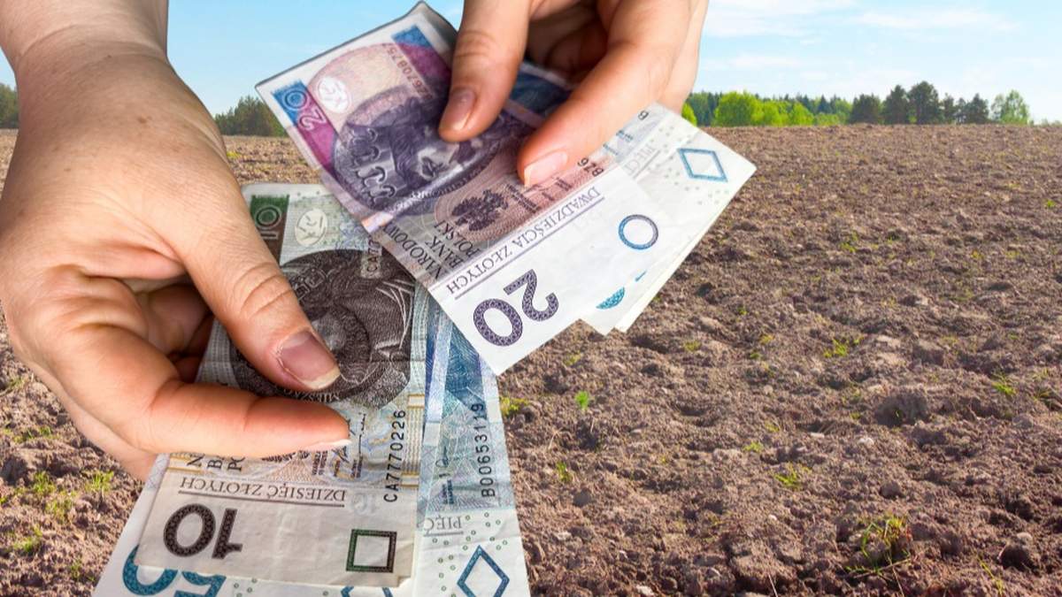 Płatność w ekoschemacie "Grunty wyłączone z produkcji" przyznawana jest za wyłączenie gruntów ornych z produkcji – nie więcej niż 4 proc. powierzchni - lub za grunty orne wyłączone z produkcji z nowo utworzonymi nieprodukcyjnymi elementami krajobrazu.