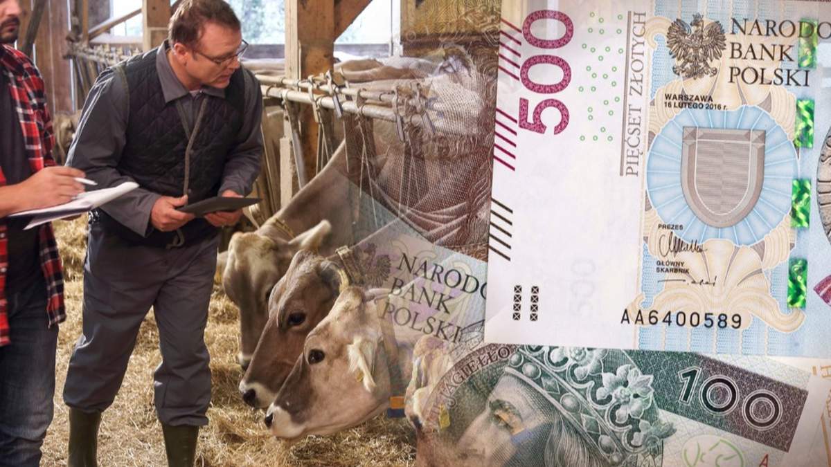 Izby rolnicze zwróciły się do ministerstwa o zwiększenie limitu zużycia oleju napędowego do 80 litrów na dużą jednostkę przeliczeniową, z zachowaniem prawa do zwrotu podatku akcyzowego zawartego w cenie paliwa wykorzystywanego do produkcji rolnej.