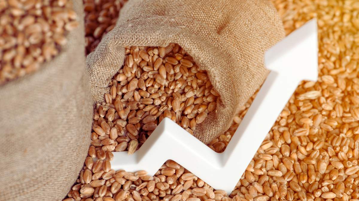 Wraz ze wzrostami cen zbóż, w parze nie idzie podaż. Ile po korektach płacą pośrednicy?