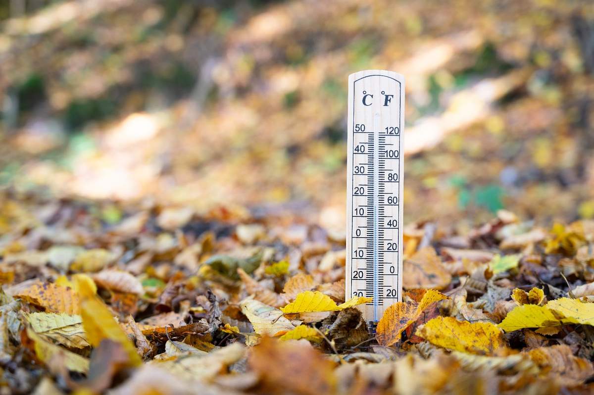 Kiedy nadejdą przymrozki? Najnowsza prognoza IMGW