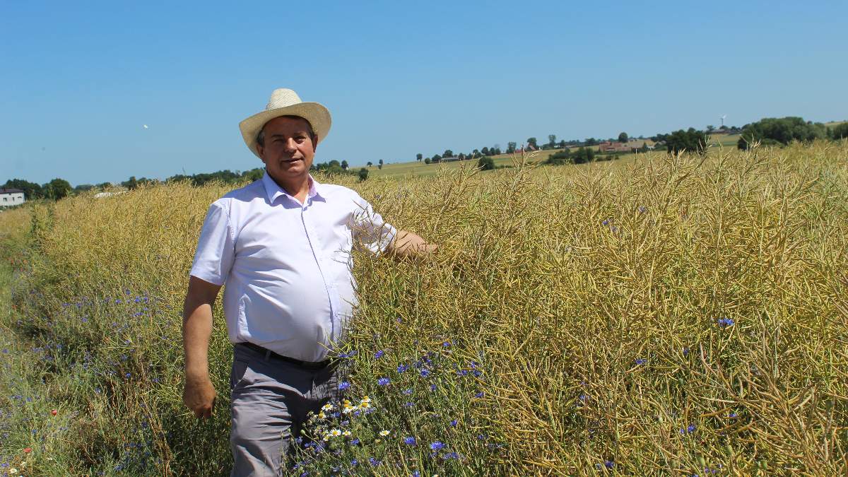 Spółdzielcza Grupa Producentów Bydła „Gołańcz” powstała w 2012 roku. Jej siedzibą jest miasto o tej samej nazwie, położone w powiecie wągrowieckim. Na czele zarządu grupy stoi Bogusław Leszczyński. 