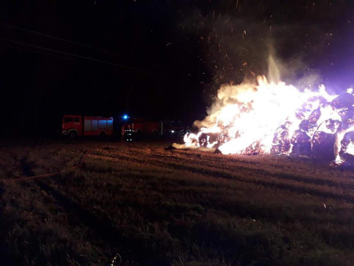 Podpalacze słomy w rękach policji. Grozi im więzienie