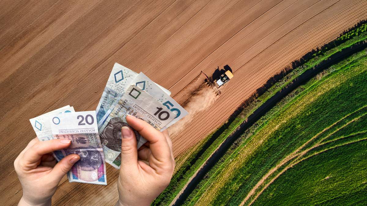 Rolnicy obecnie za dzierżawę gruntów ornych płacą średnio 1700 zł/ha
