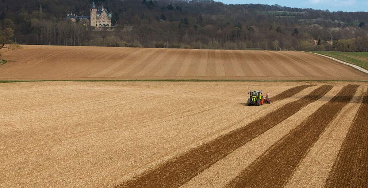 Dopłaty bezpośrednie 2023 – ile złożonych wniosków, ile o ekoschematy?