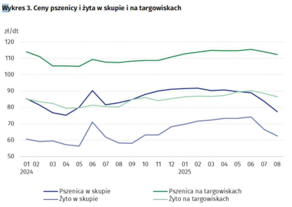  Ile płacono za produkty rolne? Potaniały ziemniaki, pszenica oraz żyto