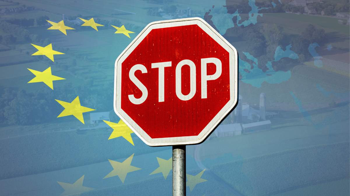 Zapowiadane przez Unię Europejską, już w roku 2021, stopniowe odchodzenie od chowu klatkowego wchodzi w kolejną, być może decydującą fazę.