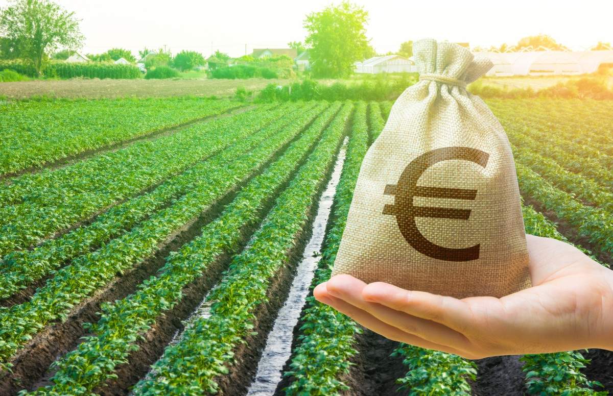 Komisja Europejska chce wprowadzić ograniczenia w kwotach dopłat. Kogo mają dotyczyć?