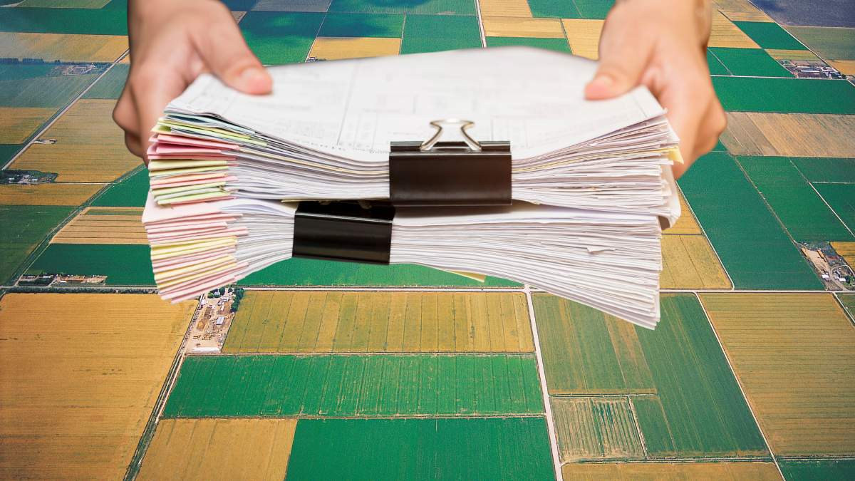 Rolnicy w całym kraju borykają się z dotkliwymi stratami wyrządzanymi przez ptaki objęte ochroną gatunkową. Sprawa niepokoi tym bardziej, że planowane są kolejne, niepokojące zmiany w prawie. Dolnośląska Izba Rolnicza wystosowała do Minister Środowiska i Klimatu specjalny apel.