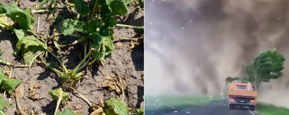 Tornado szalało w Niemczech [VIDEO]