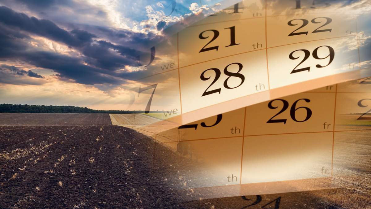 Koniec października jest kluczowym terminem dotyczącym legalnego stosowania obornika i gnojowicy na polach w Polsce.