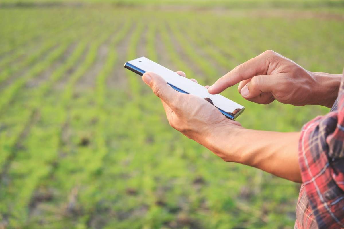 Rolnicy boją się podejrzanych wiadomości SMS