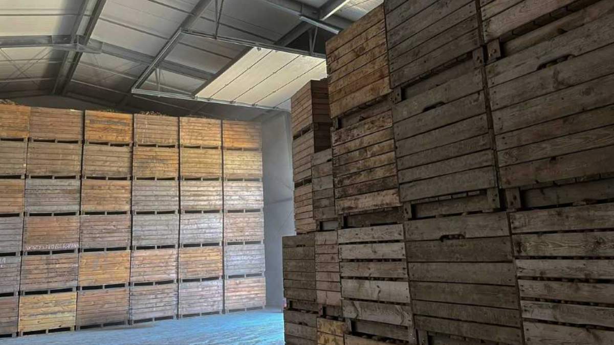 Przechowywanie ziemniaków w hali łukowej