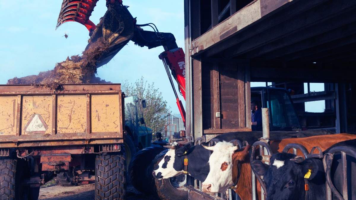 Wymogi, które nakazują rolnikom dostosować swoje gospodarstwo do zasad ujętych w tzw. "programie azotanowym", wzbudzają spore obawy.