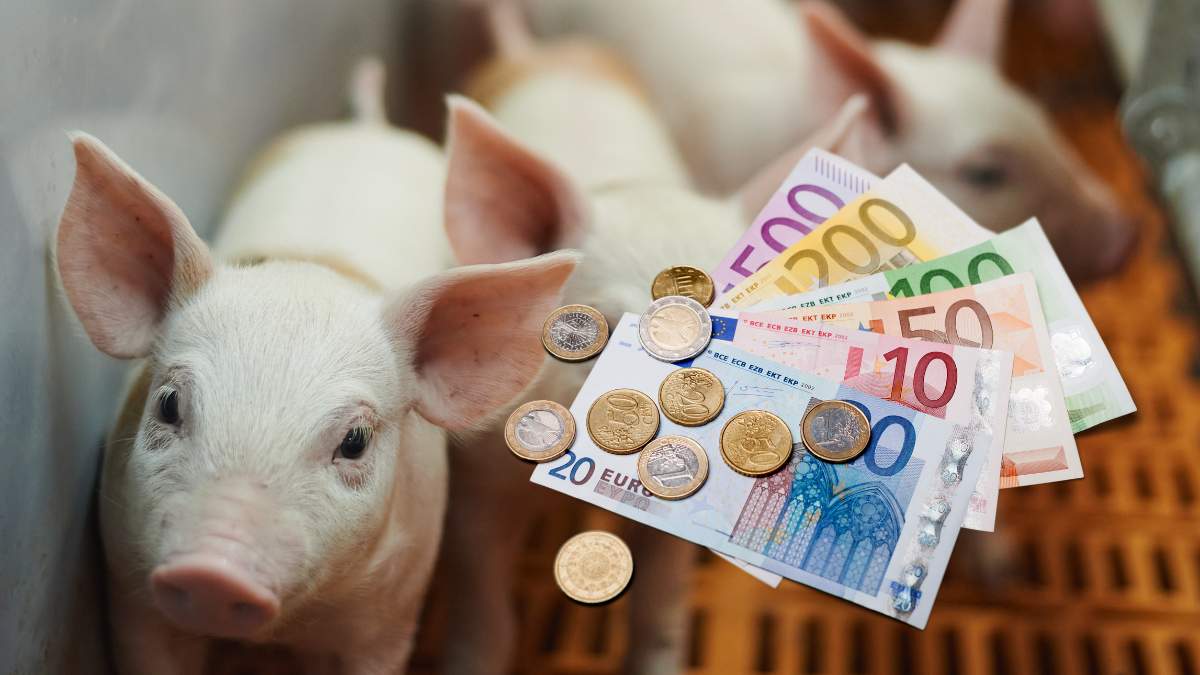 Wkrótce ma powstać rozporządzenie wykonawcze KE, które określi m.in. wysokość pomocy dla rolników