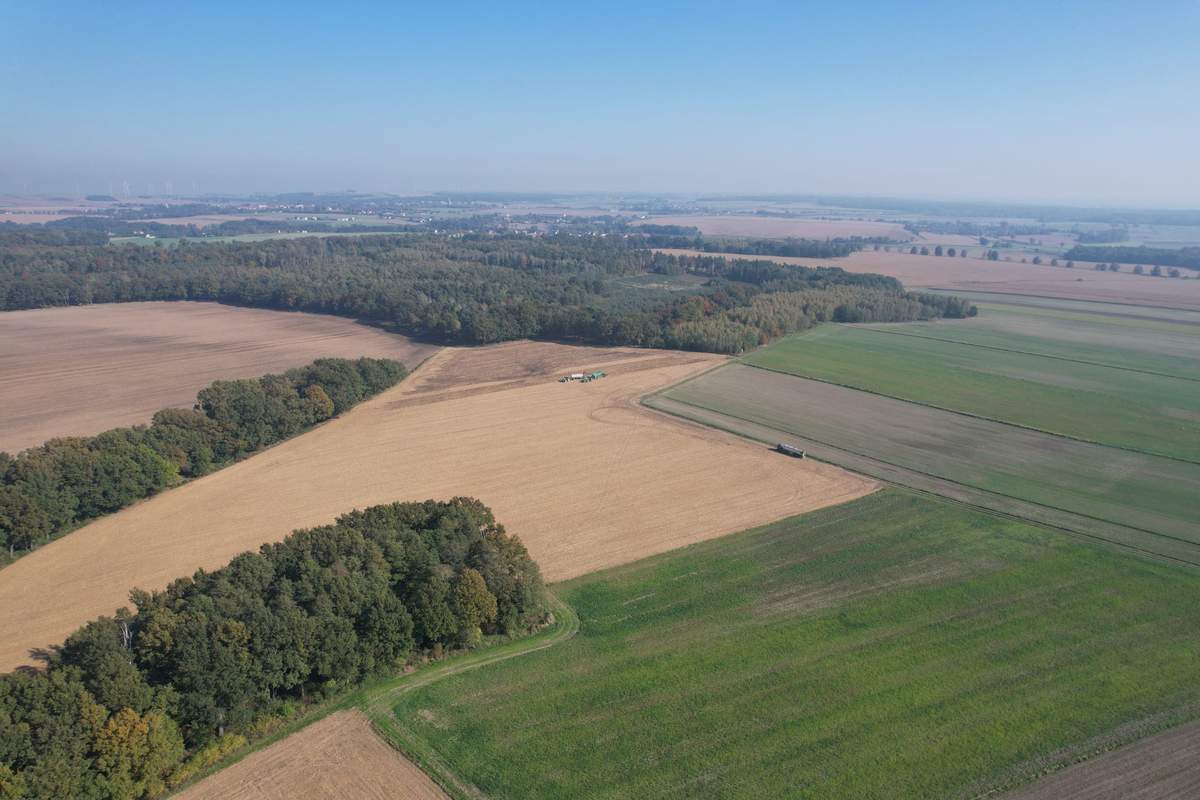 Kiedy podział działki rolnej jest niemożliwy?