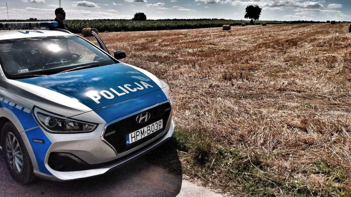 Zagrażają rolnikom i sprzętowi. Już są straty na kilkaset tysięcy