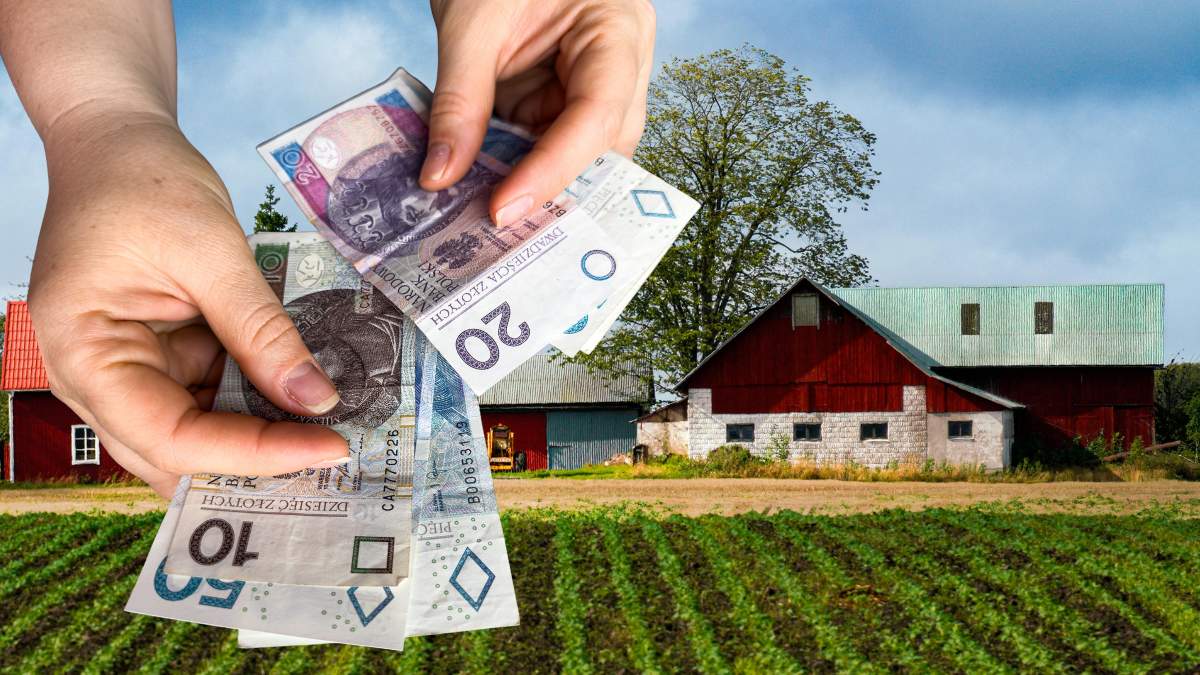 Płatność dla małych gospodarstw to specjalna, uproszczona forma wsparcia dla rolników, którzy dysponują niewielką ilością gruntów.