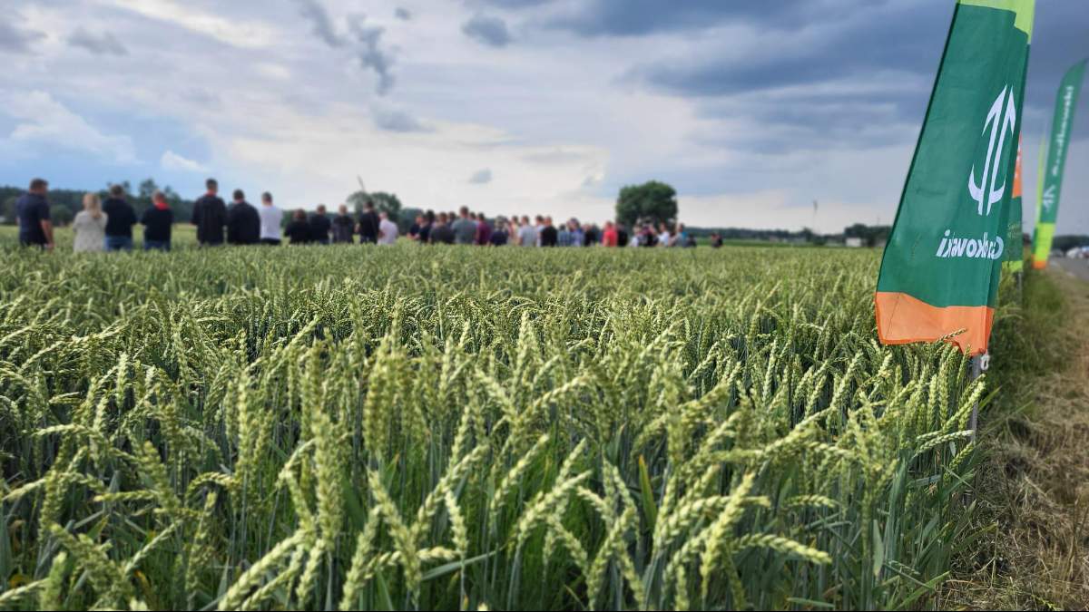 Zielone Pola 2025 zbliżają się wielkimi krokami