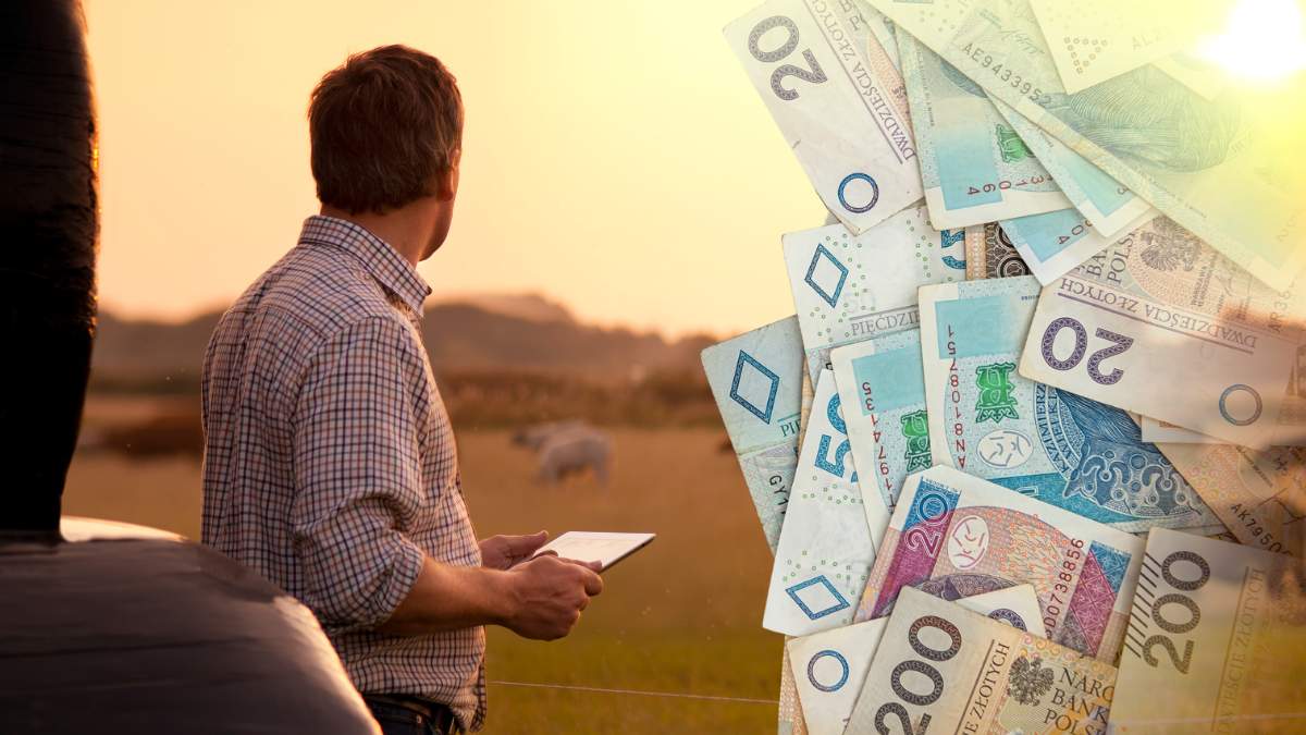 1.845 gospodarstw rolnych wzięło udział w badaniu przeprowadzonym w kwietniu i maju przez Instytut Rozwoju Gospodarczego SGH. Najnowsza informacja sygnalna dotyczy koniunktury w rolnictwie w II kwartale 2025 r.