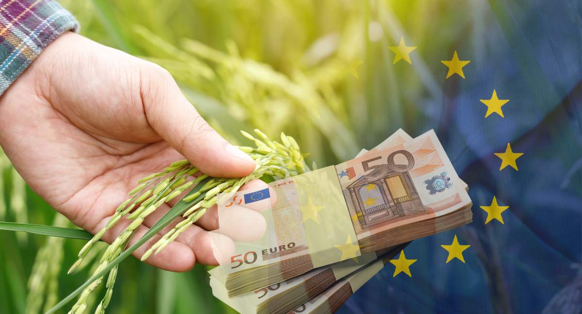 PE jest za tym, by upraszczać procedury dla rolników, ograniczać kontrole i zwiększyć kwoty dla małych gospodarstw. Trwają rozmowy z państwami członkowskimi  