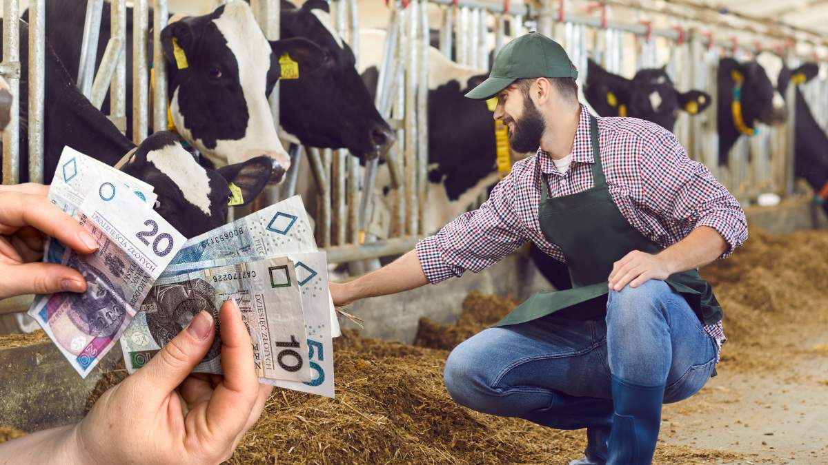 Do 11 lipca ma potrwać nabór wniosków o wsparcie w ramach dobrostanu zwierząt