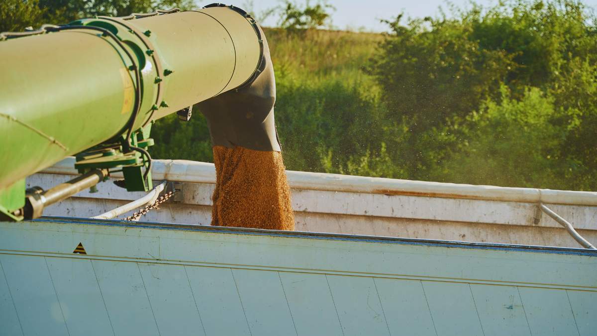 Rolnicy, którzy nie posiadają powierzchni magazynowych często sprzedają część ziarna podczas żniw, a na resztę wynajmują magazyny. Ile zapłacą za składowanie w tym roku?