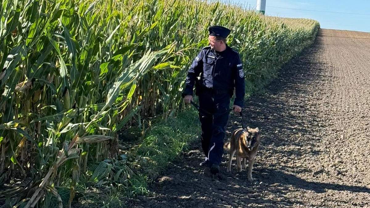 Szokujące zagrożenia na polach. Wkroczyła policja z psem i dronem 