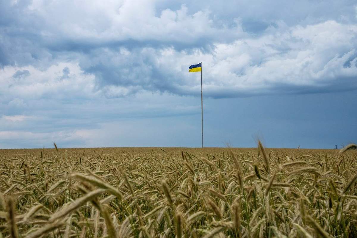 Przystąpienie Ukrainy do UE wywróci budżet rolny do góry nogami?