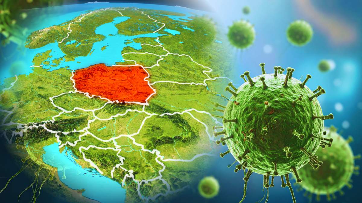 Od początku roku łączna liczba zwierząt we wszystkich 15 ogniskach choroby niebieskiego języka w Polsce wyniosła 5.094.