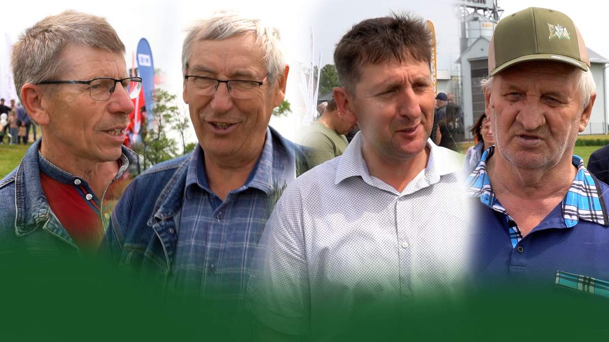 Zapytaliśmy rolników, jak prezentują się na ich polach zboża, zwłaszcza pszenica, i jakie tym samym plony się zapowiadają w żniwa 2025
