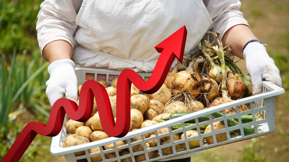 Kończy się sezon na krajowe warzywa uprawiane w gruncie, w związku z czym ich ceny rosną. Na giełdach pojawiają się już też jarzyny z dostaw importowych.