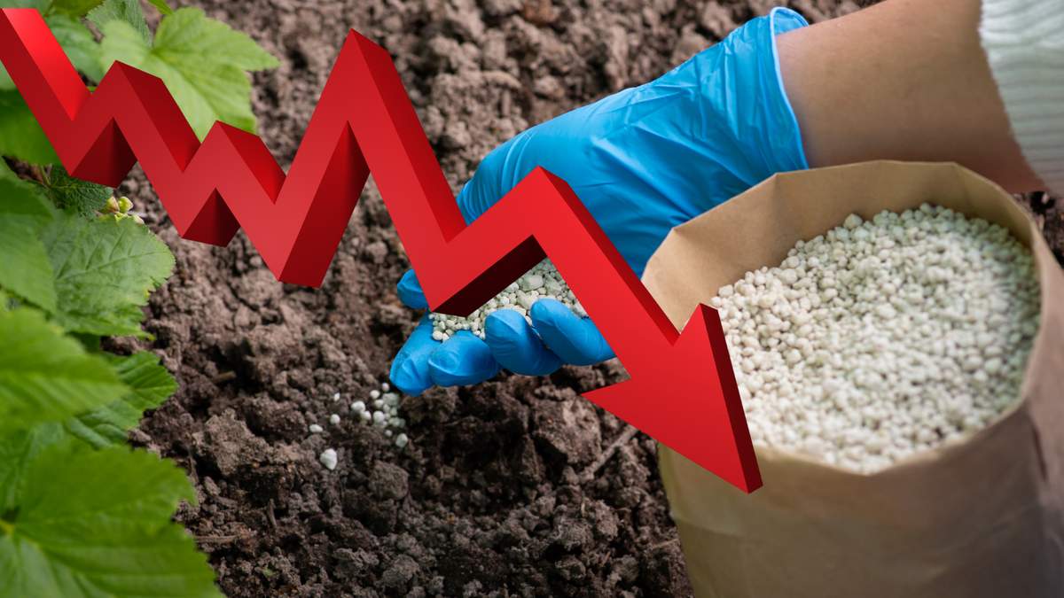 Do Polski trafia coraz mniej nawozów. 