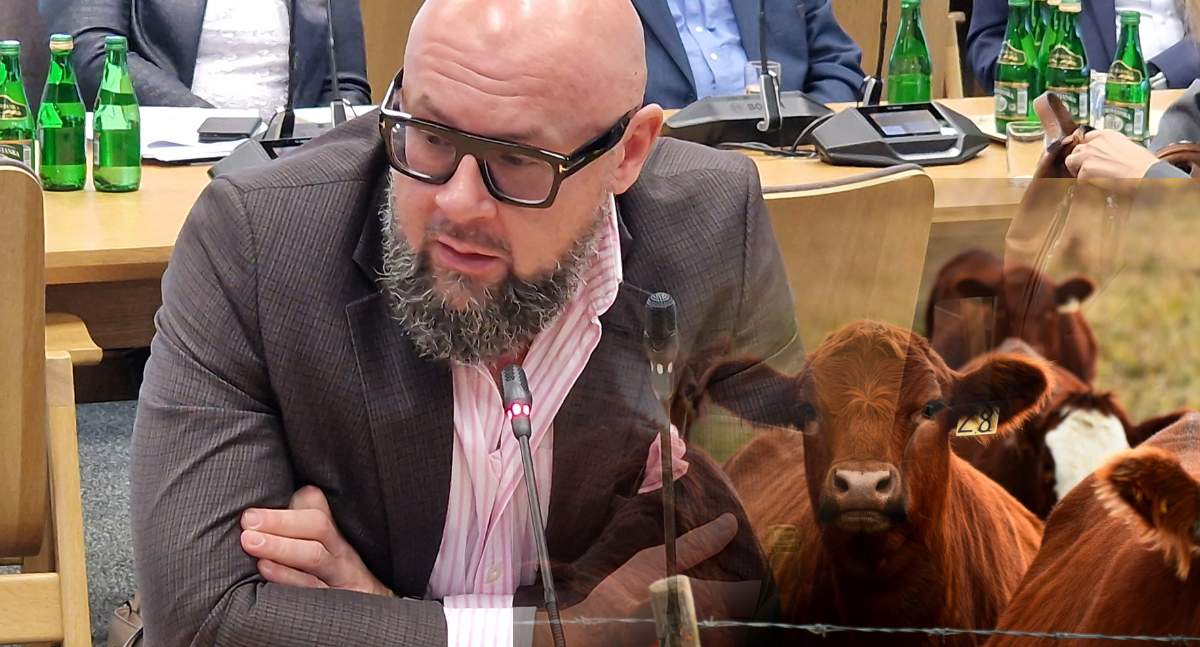 Jacek Zarzecki z Polskiej Platformy Zrównoważonej Wołowiny wnioskował o wprowadzenie zmian w ustawie o ochronie przyrody, dzięki której hodowcy będą mogli uzyskiwać rekompensaty za zagryzione zwierzęta