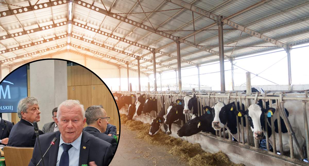 PFHBiPM interweniuje w sprawie karania rolników, którzy stosują zużyte opony do obciążania pryzm