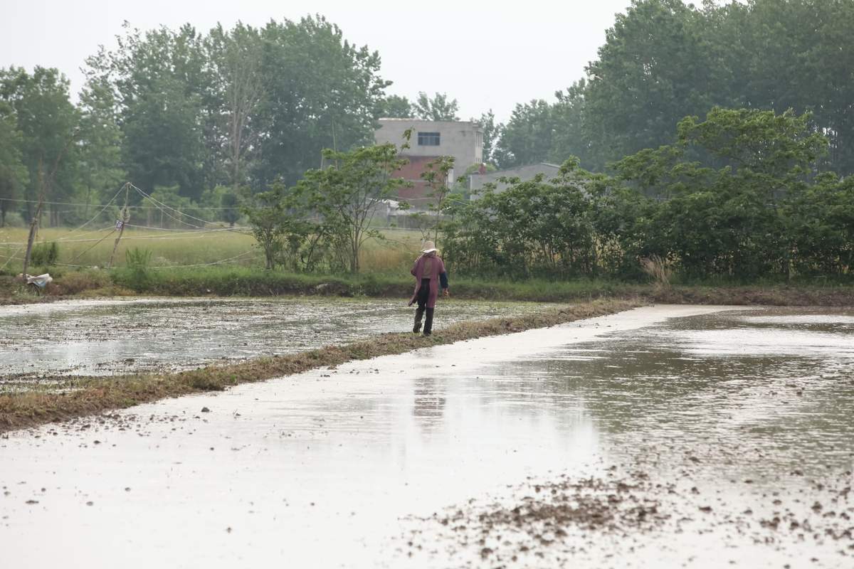 Pakistańscy rolnicy poszkodowani w powodziach w 2022 roku żądają odszkodowań od niemieckich firm / zdjęcie ilustracyjne