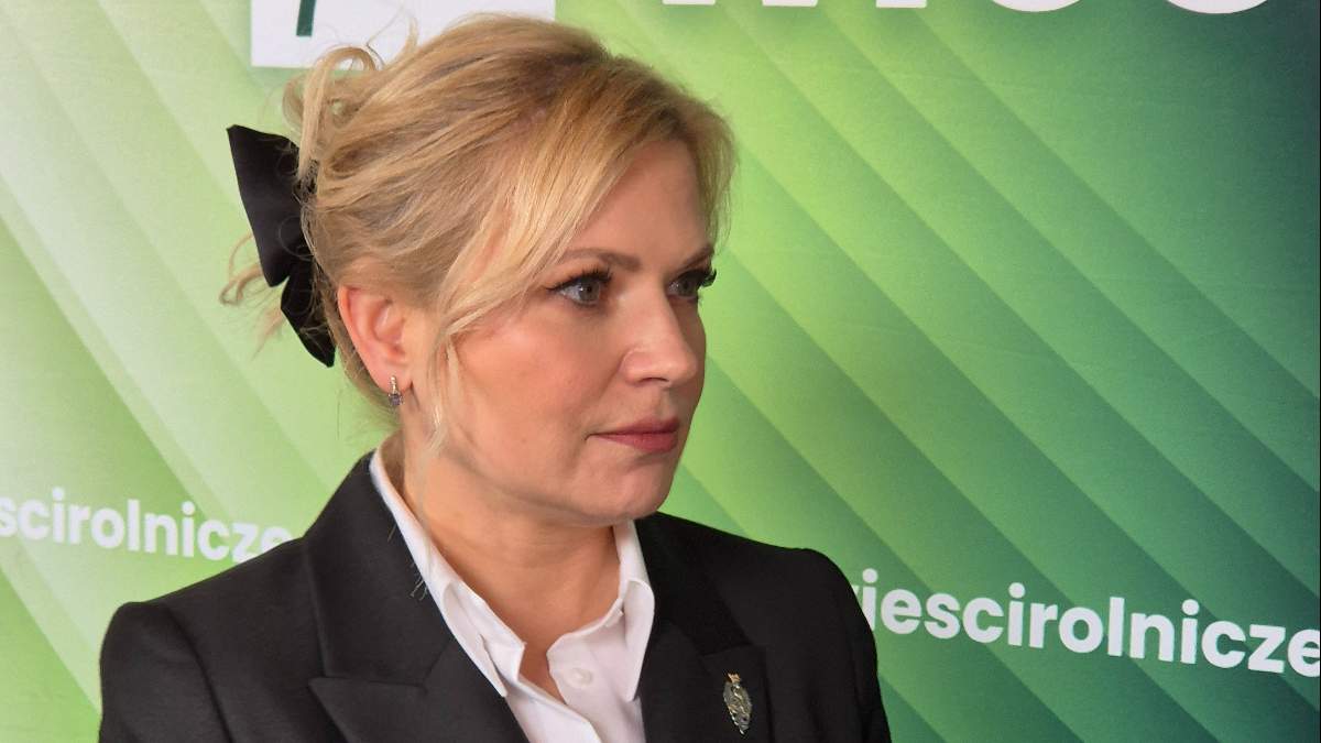 Dopłaty do zbóż przynoszą tylko chwilową ulgę
