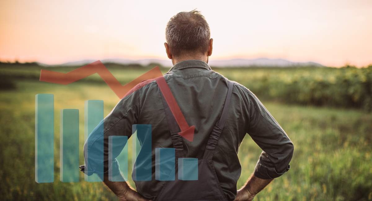 W październiku rolnicy otrzymywali za zboże takie stawki, jak 18 lat temu. W tym samym czasie, jak informuje Arkadiusz Zalewski z IERIGŻ, koszty produkcji wzrosły o 140%. Ma to niebagatelny wpływ na koniunkturę