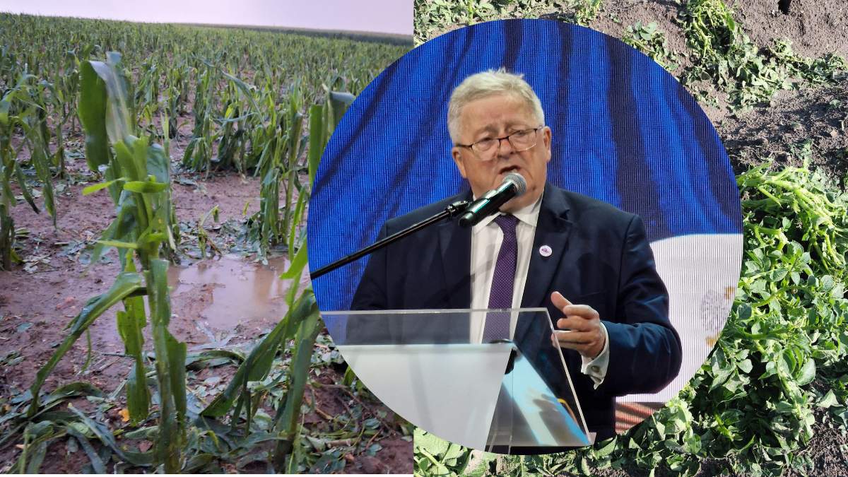 Minister rolnictwa Czesław Siekierski zapowiedział, że będzie apelował do Ministerstwa Finansów o środki na wsparcie dla poszkodowanych rolników