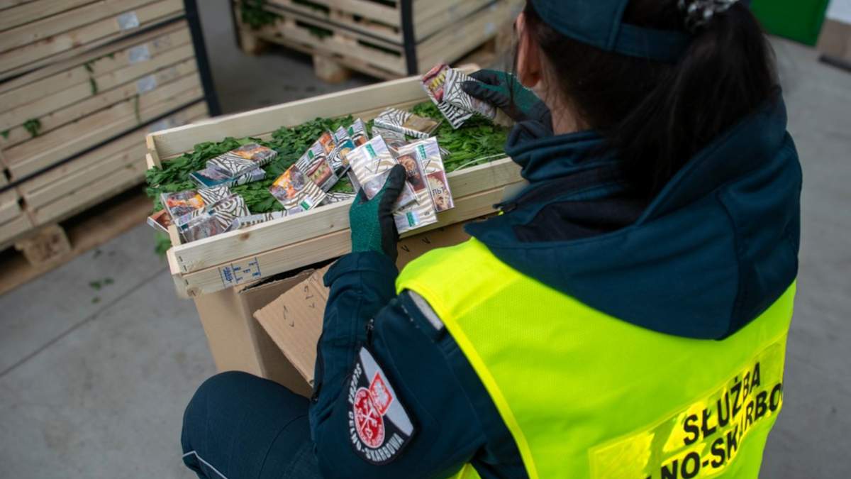 W natce pietruszki były ukryte papierosy  