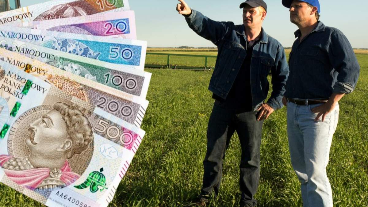Jeszcze w tym roku ARiMR powinna uruchomić nabór w ramach interwencji: "Inwestycje w gospodarstwach rolnych w zakresie OZE i poprawy efektywności energetycznej". W sumie chodzi o trzy obszary.