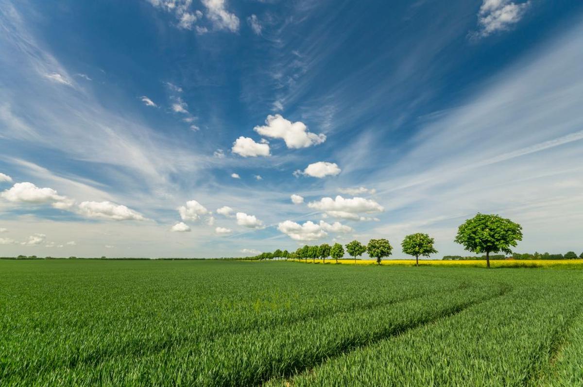 IMGW prognozuje, że w kwietniu, maju, czerwcu i lipcu czekają temperatury wyższe niż norma z poprzednich lat