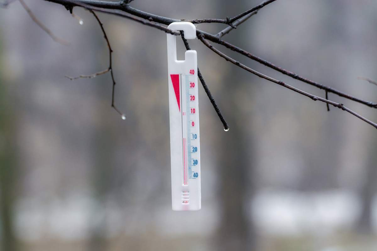 Synoptycy przewidują w nadchodzącym tygodniu miejscowe, silne spadki temperatury przy gruncie