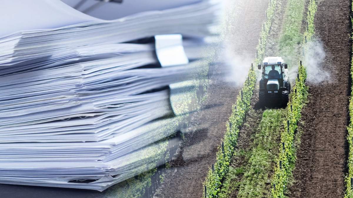 19 sierpnia 2025 w życie wejdą nowe przepisy dotyczące zaostrzenia norm stosowania acetamiprydu w 38 produktach rolnych. W związku z tym ogromne obawy wyraża dziś wielu plantatorów i rolników.