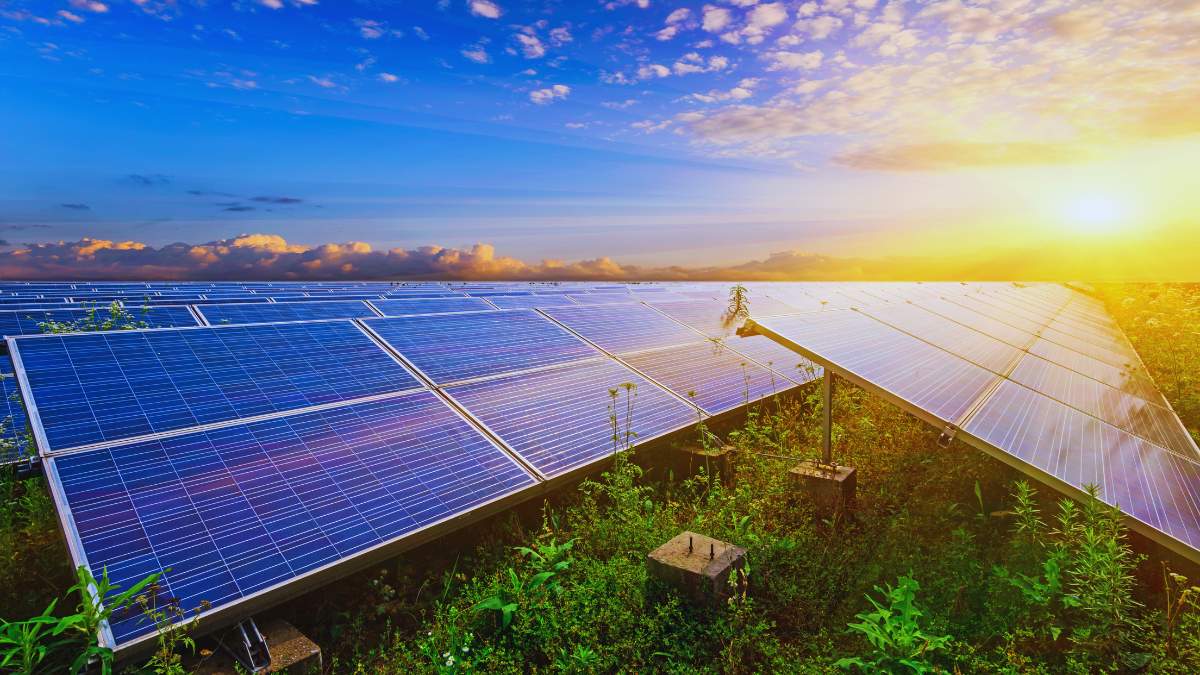 Agrowoltaika w Polsce na razie wciąż jest melodią przyszlości. Obecne definicje prawne praktycznie uniemożliwiają przyznawanie dopłat bezpośrednich do gruntów pod panelami.