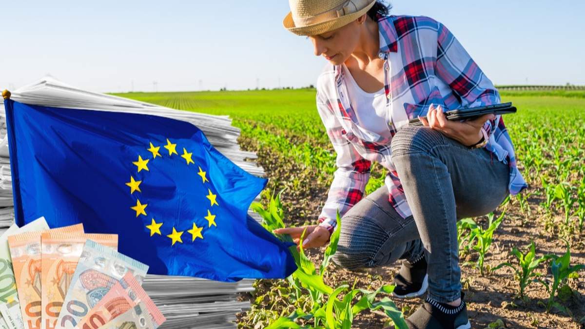 KE wyliczyła, że dzięki zaproponowanym uproszczeniom, rolnicy będą mogli zaoszczędzić do 1,58 mld euro rocznie