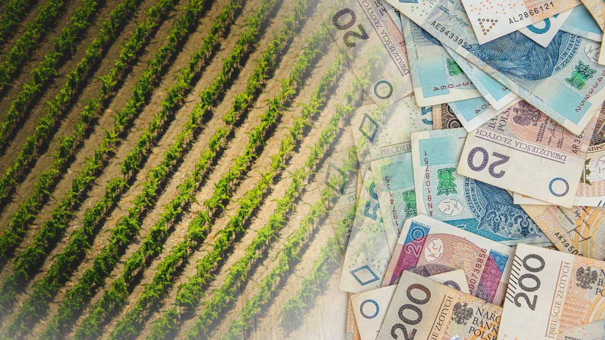 Powoli zbliża się czas zakończenia naboru wniosków w ramach tegorocznej kampanii dopłat bezpośrednich.
